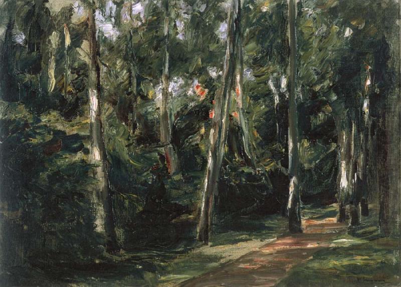 Max Liebermann The Birch-Lined Avenue in the Wannsee Garden Facing Southwest china oil painting image